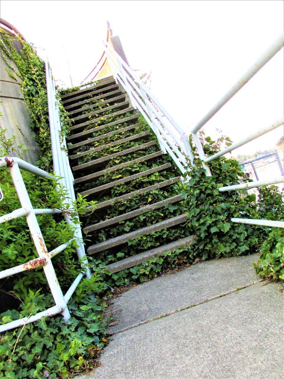 Ivy Stairs