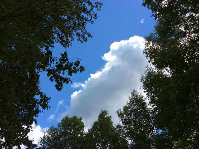 Sky window 