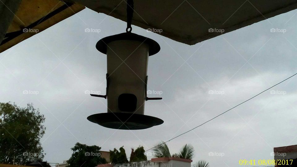 Bird feeder hanging into sky