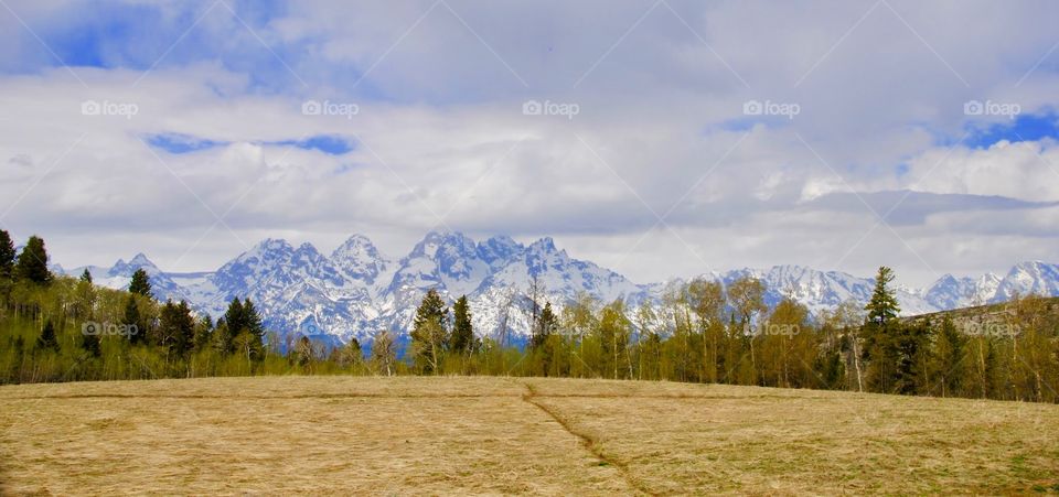 Cloud Tipped Tetons Landscape