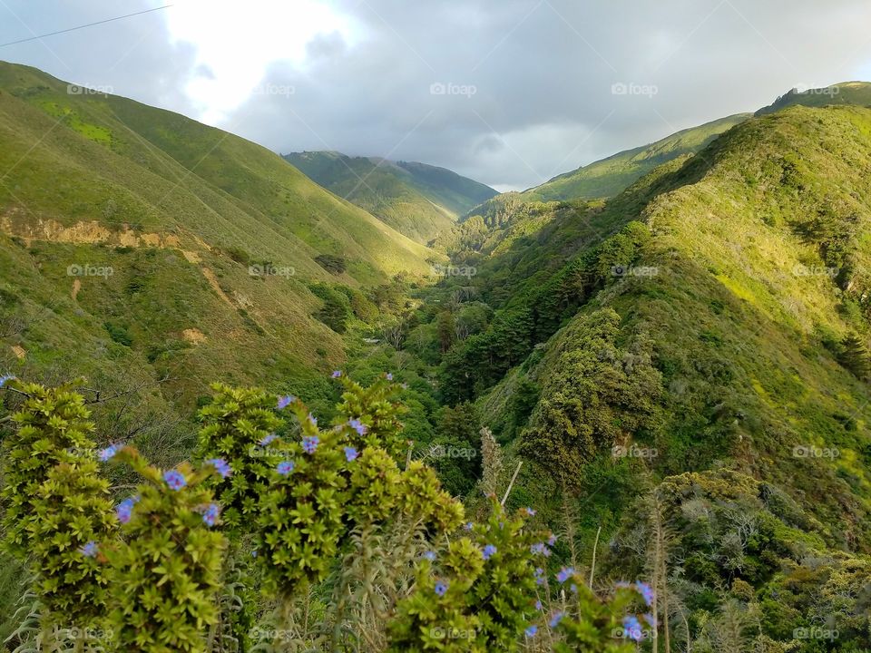 Big Sur