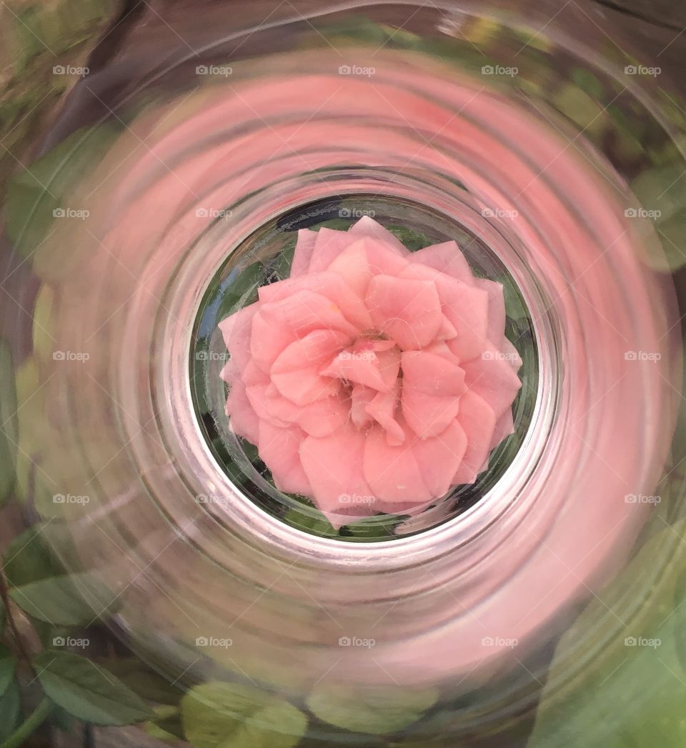 Rose glass 