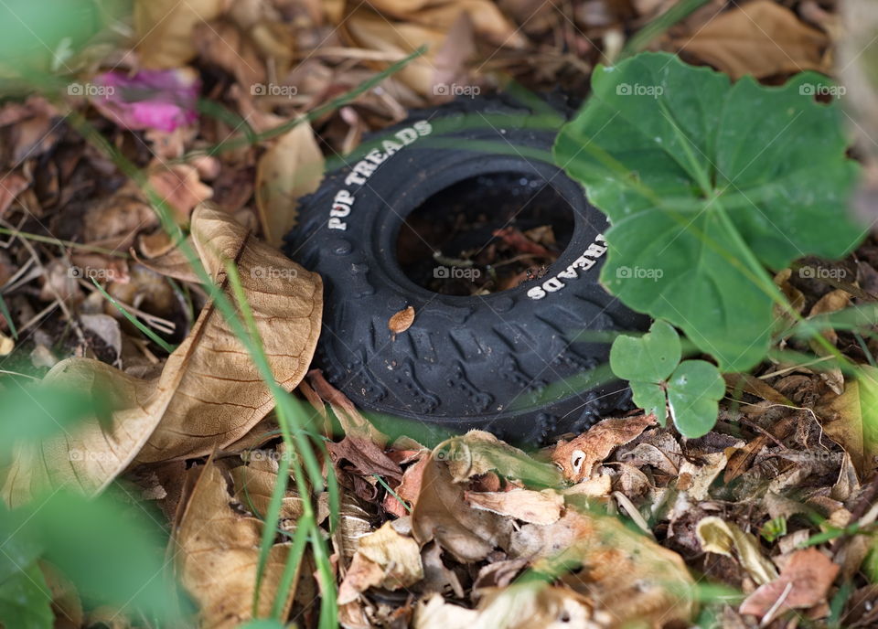 Toy car tyre in a garden bed