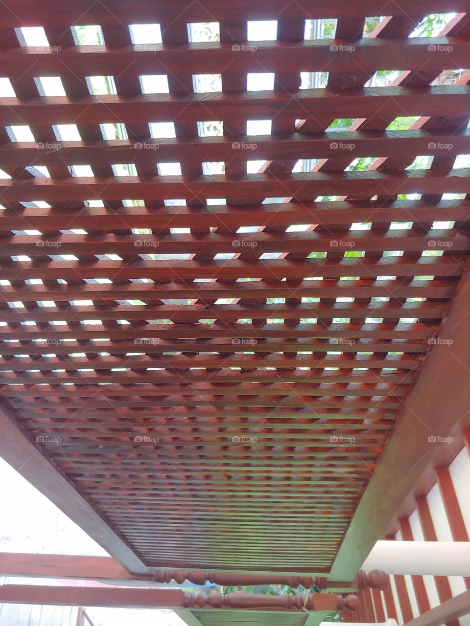 wood forward coverage captured