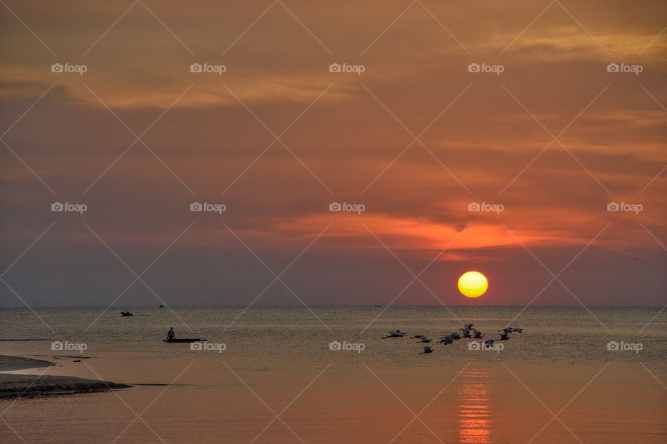 Sunset flying birds beach seaside putatan sabah.