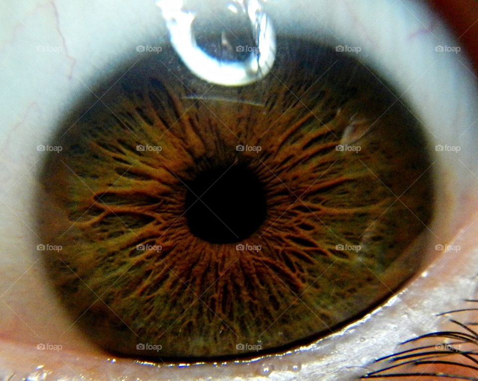 close-up of human eye with details of light brown iris