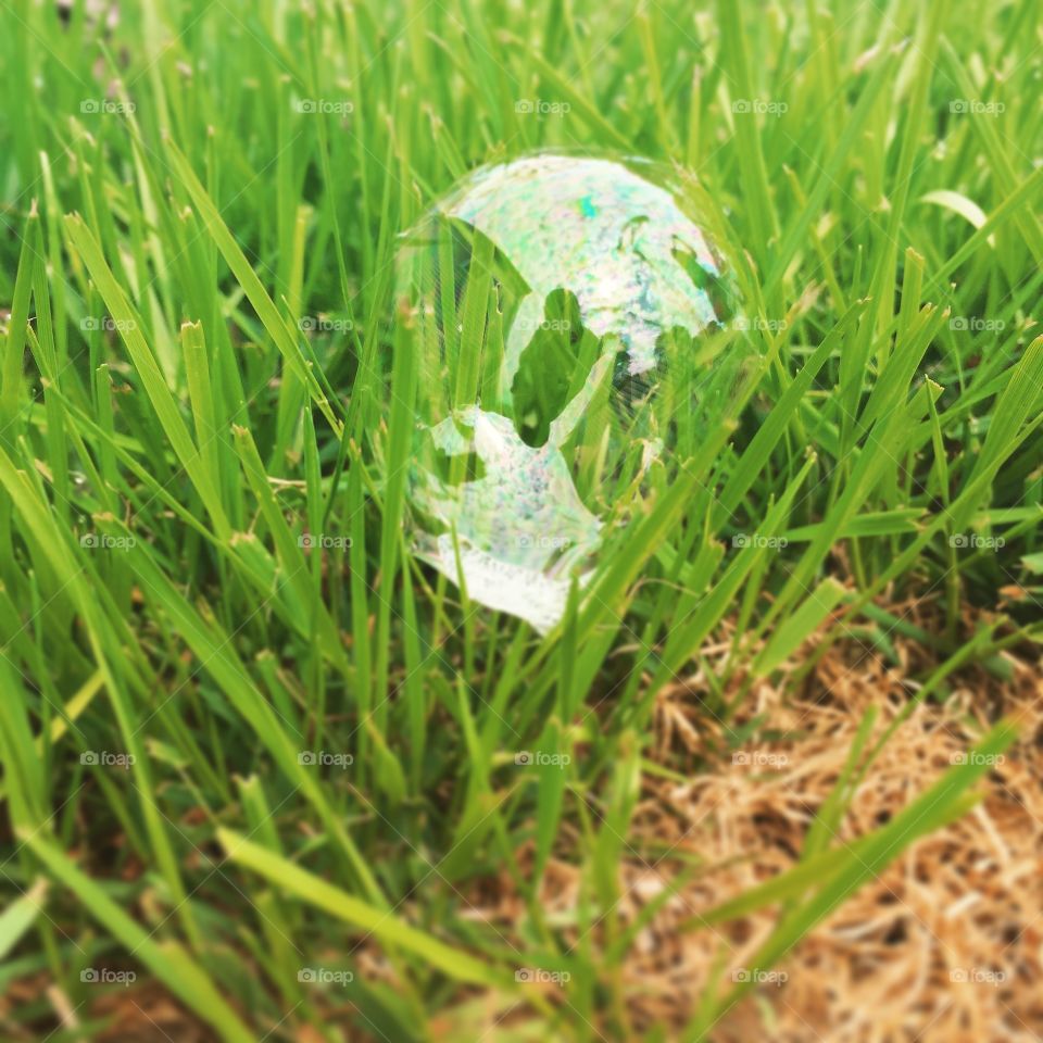 Soap bubble in grass. 