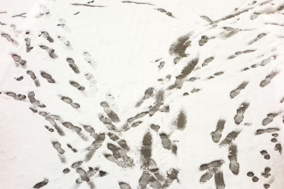 Directly above view of footprints on snow