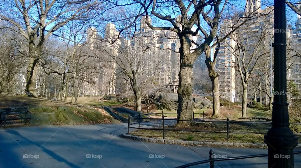 New York Park 