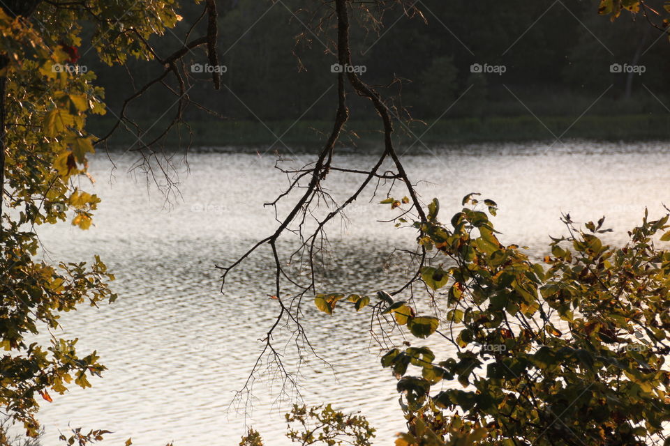 Scenic view of lake