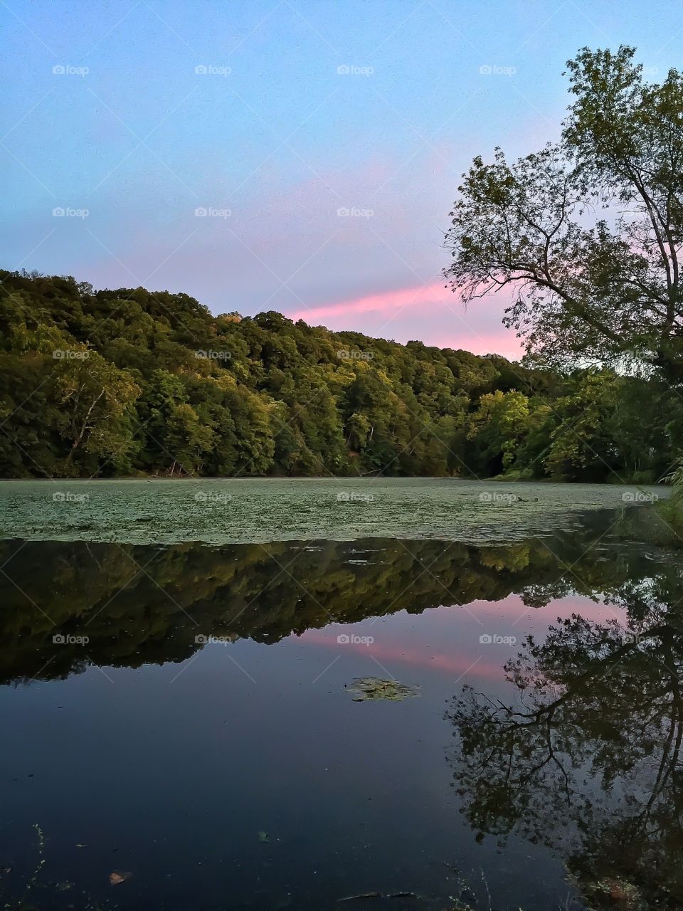 A reflective creek at sunrise. A local creek just before the sun started coming up. 