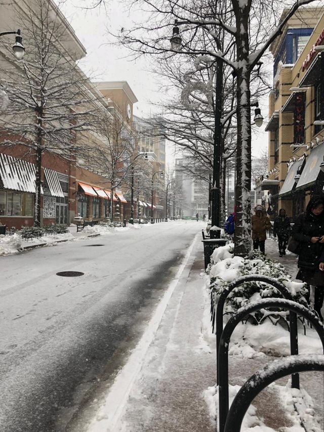Silver Spring