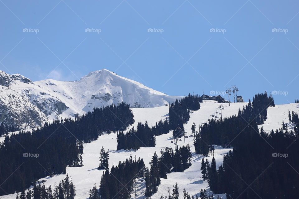 Ski slopes 