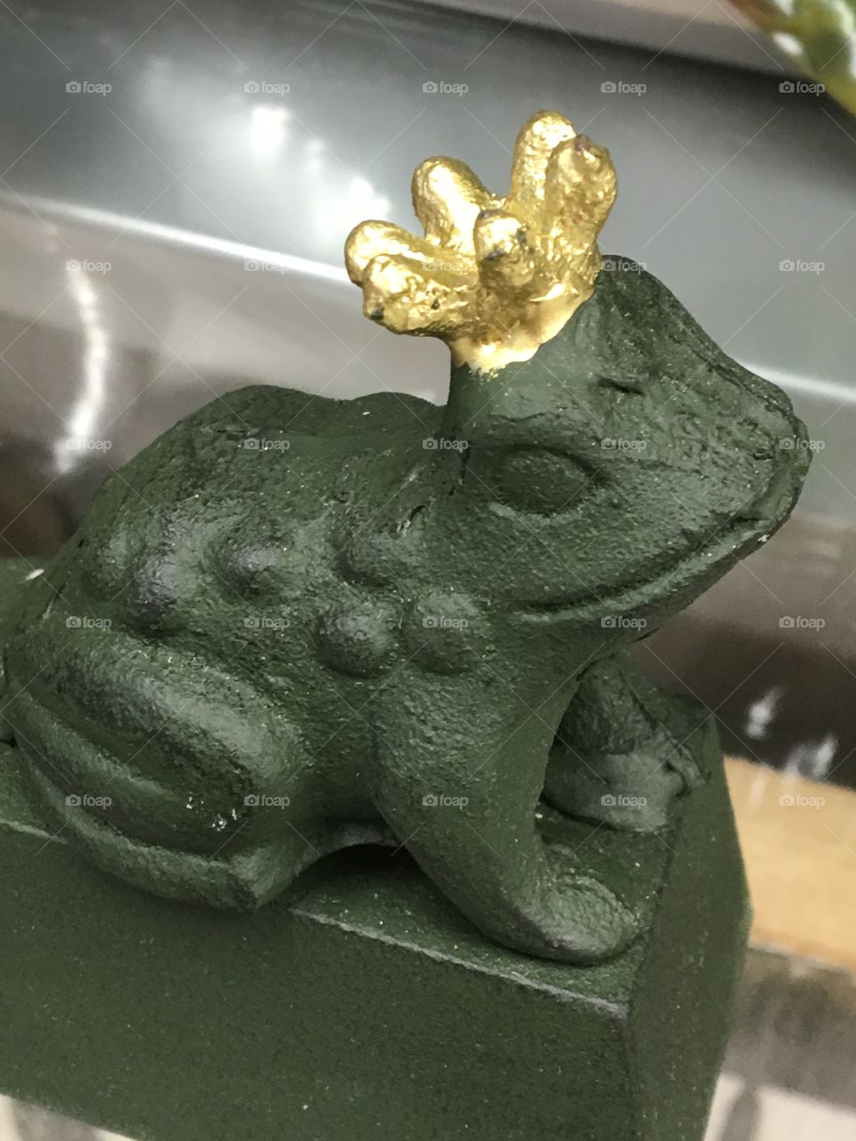 Prince Charming frog