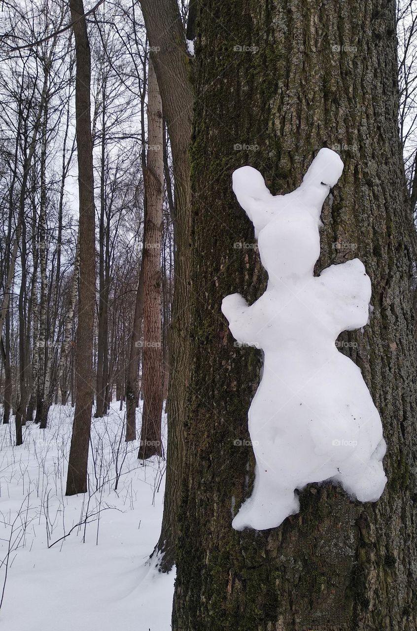 rabbit snowy on q tree in park