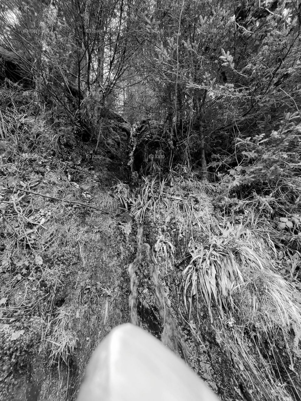 Walk in the woods, Bayehon waterfall, Belgian Ardennes, Vielsam