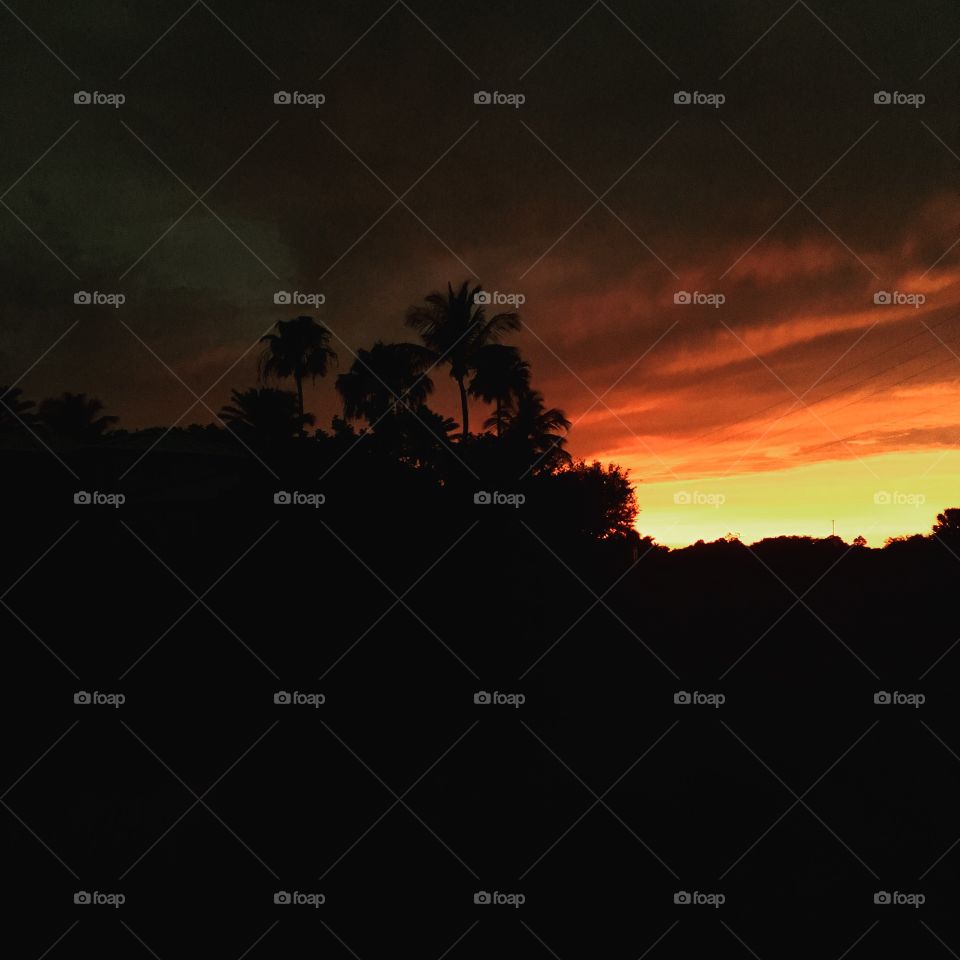 sunset at home 
wellington FL USA