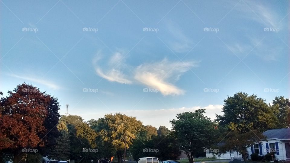 Cloud Angel in the Morning