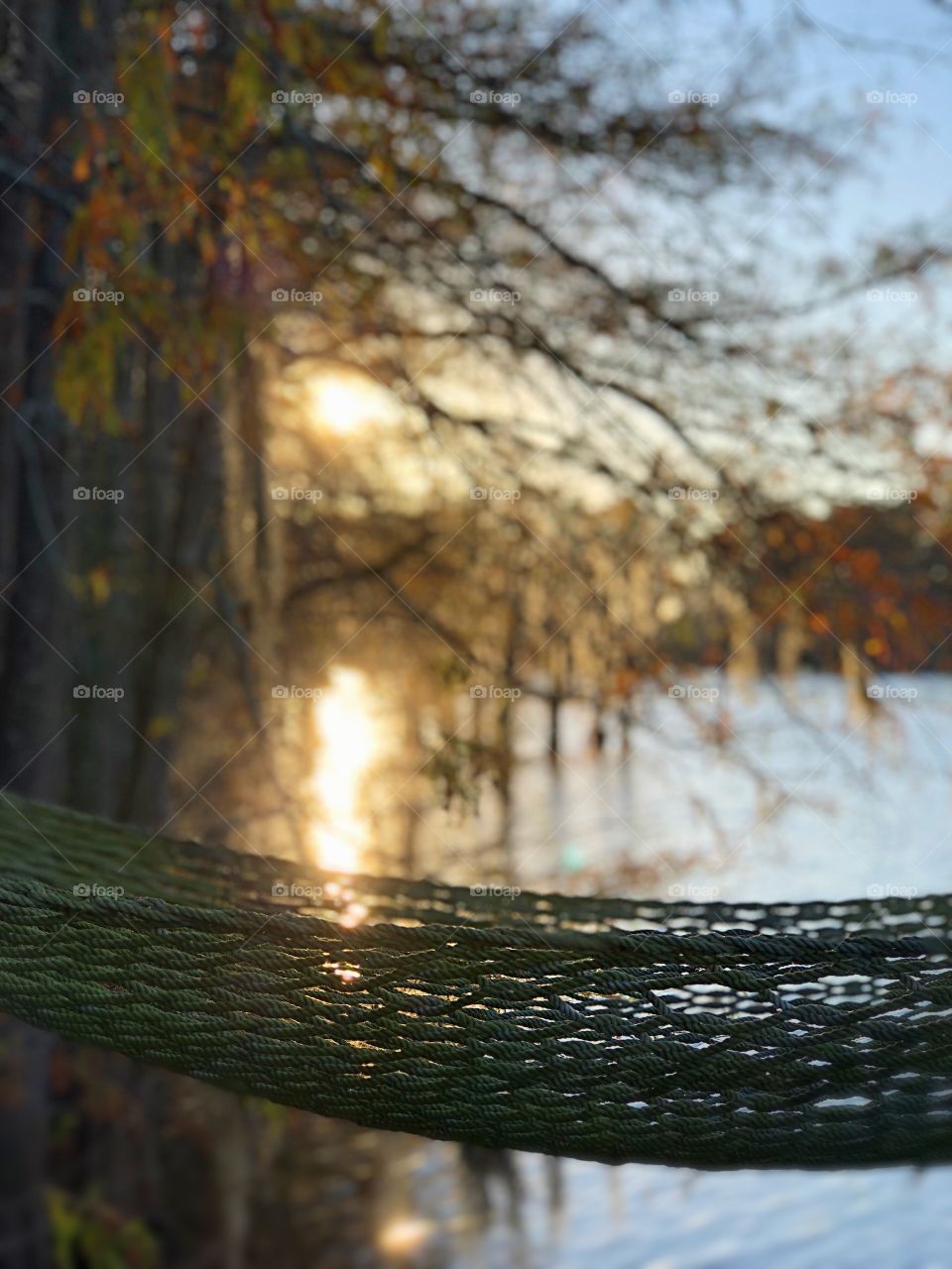 Fall colors and a hammock by the lake.
