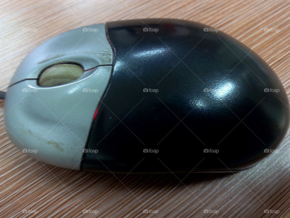 mouse. mouse for computer