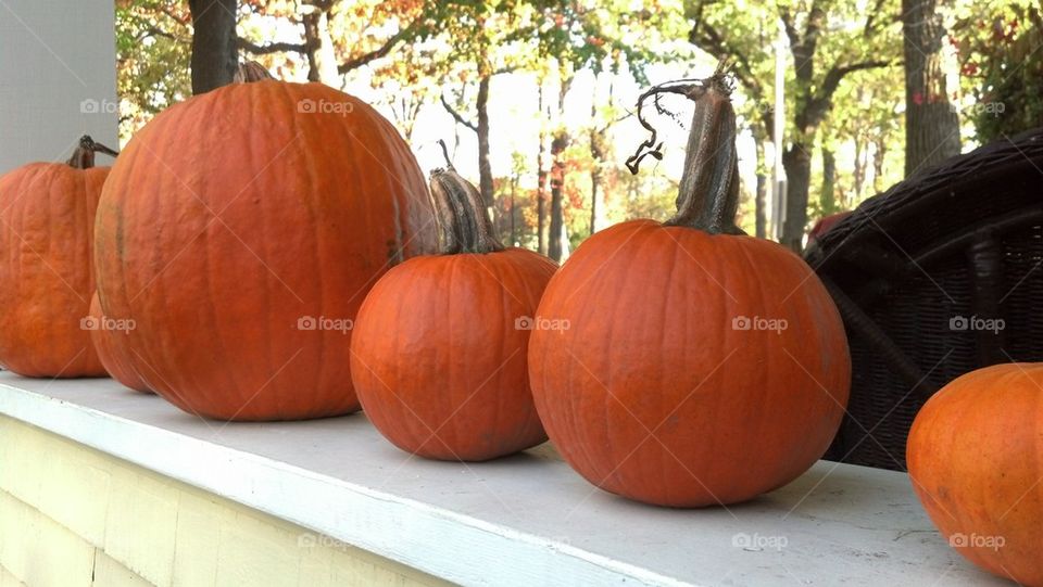 Pumpkin Porch