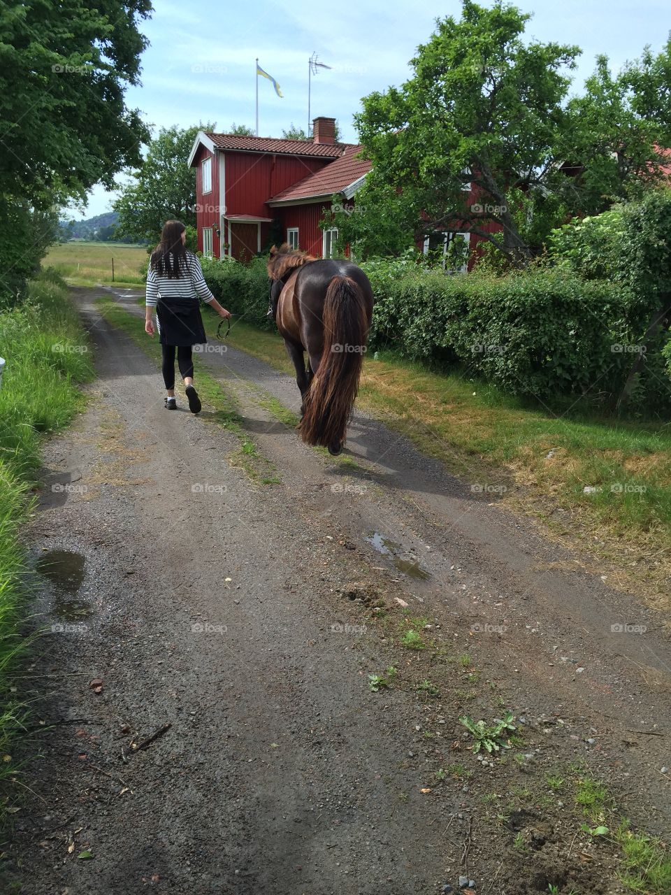 Walking with the horse