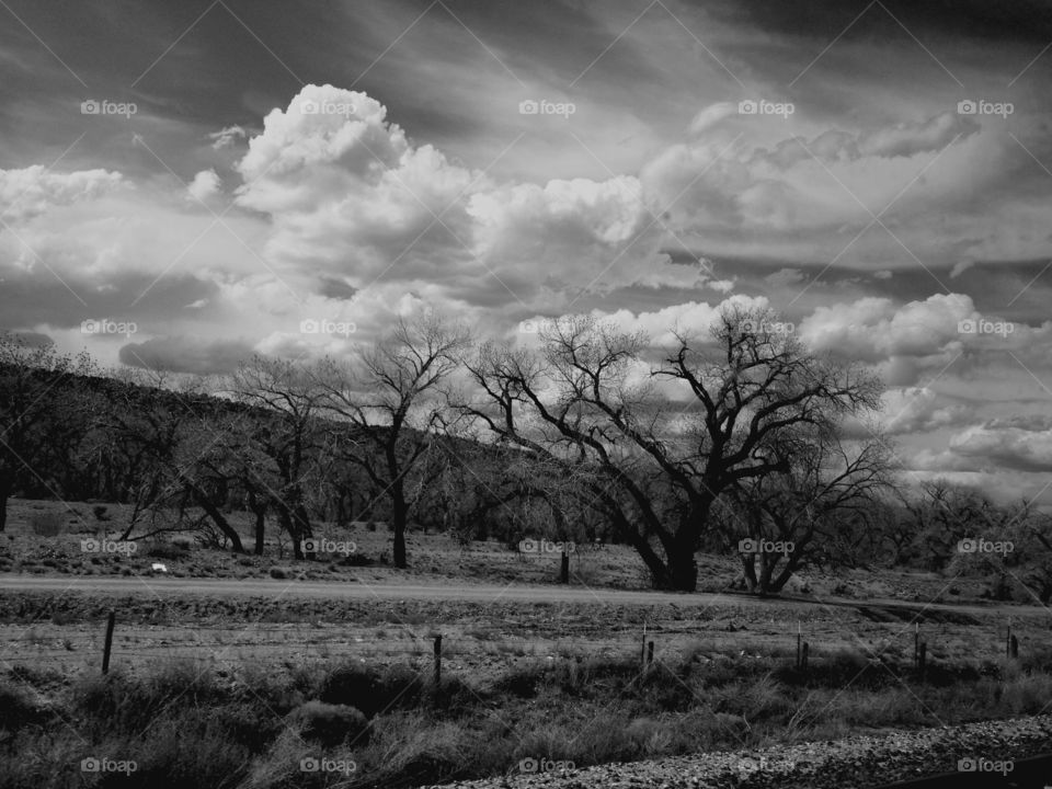 View of bare tree against cloudy sky