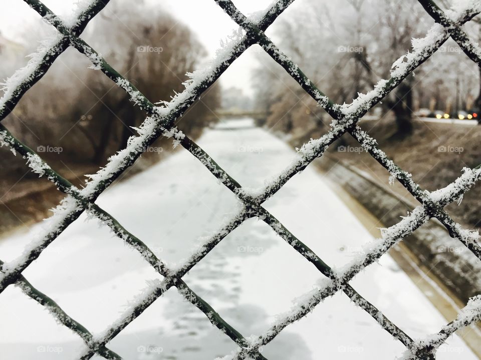 Frozen barbed wire fence