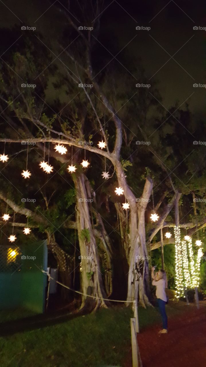 lit up tree stars