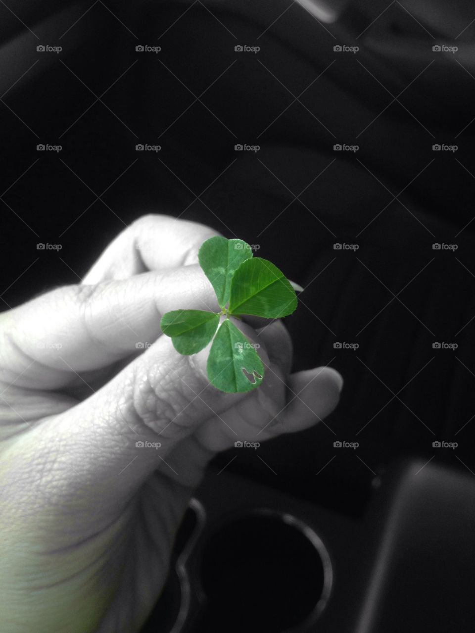 green leaf four clover by cindyhodesigns