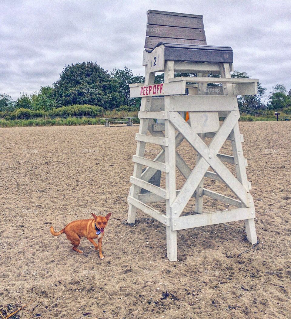 Jennings Beach, Fairfield CT...