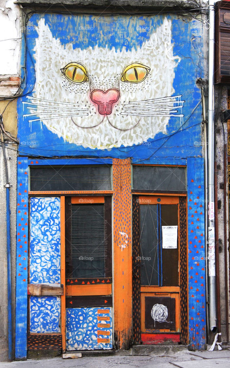 Street art cat. Veliko Turnovo, Bulgaria.