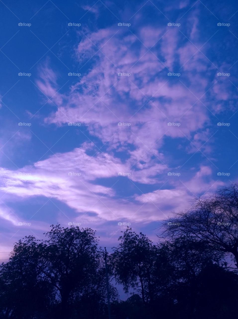 Just to sun set scene whites cloud scattered dark tree looks very beautiful blue sky
