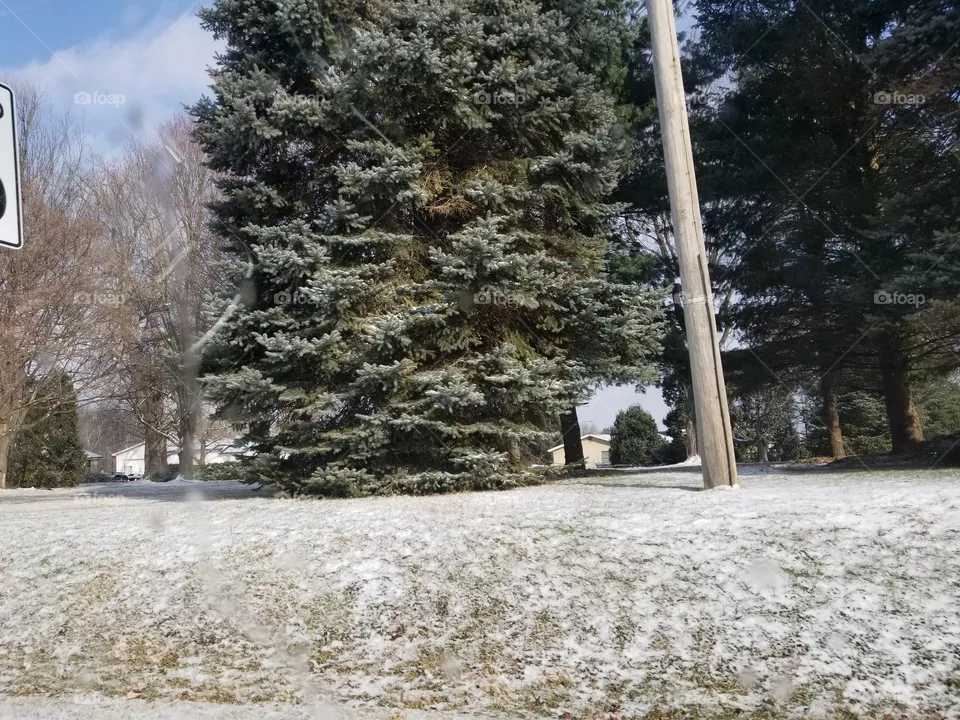 Winter