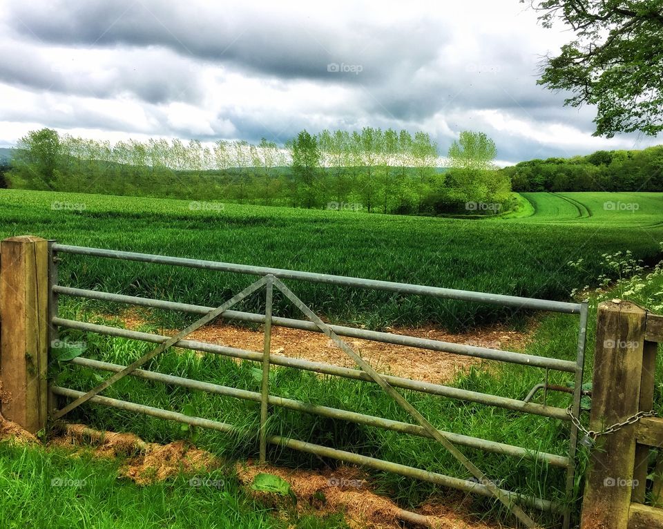 A Country Gate And Field