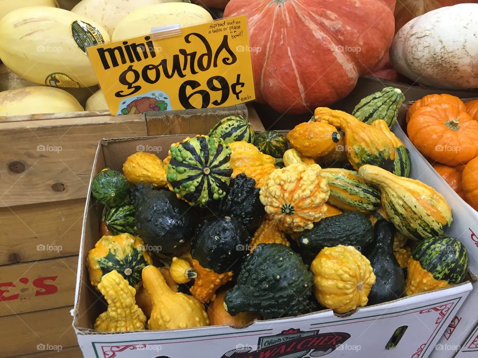 Pumpkins and gourds 