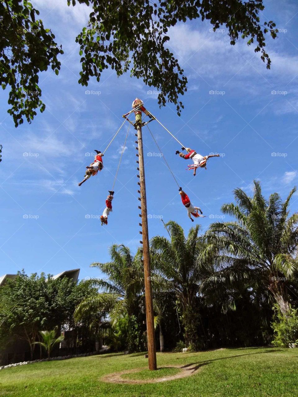 Swinging performers in Mexico
