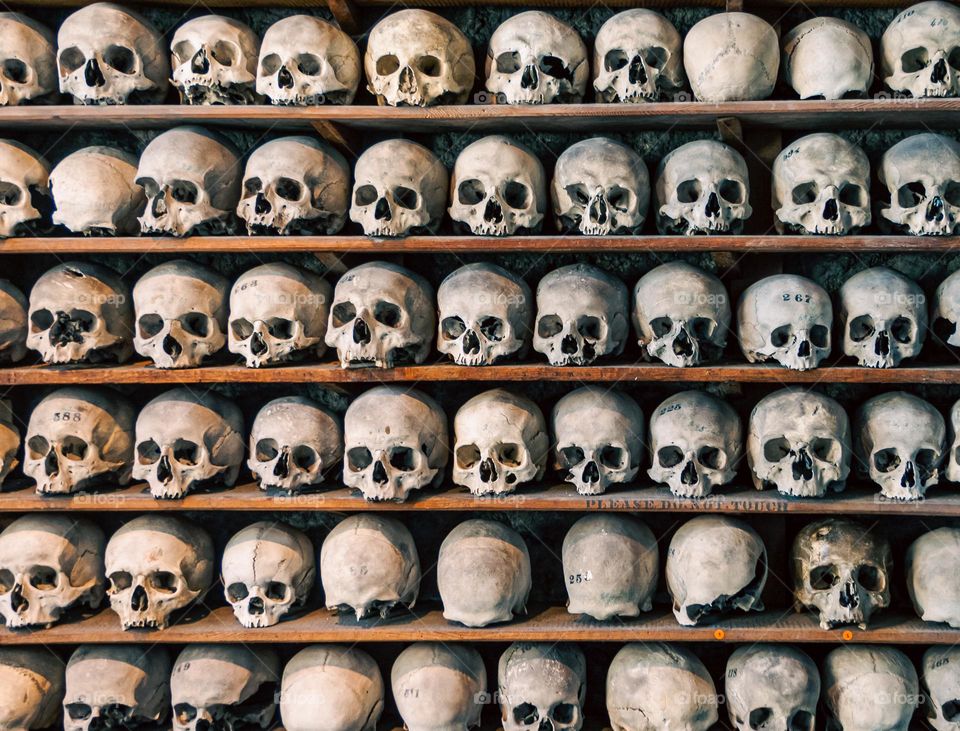 Shelves full of human skulls