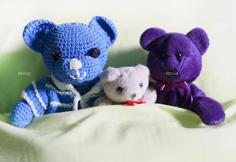 Family, stuffed animals bears under the blanket