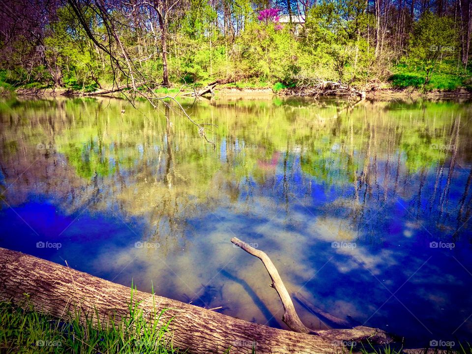 Spring on the river in Indiana 
