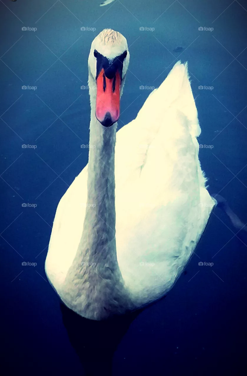 per