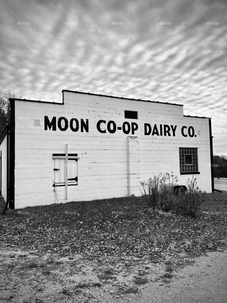 Moon Co-Op Dairy Company