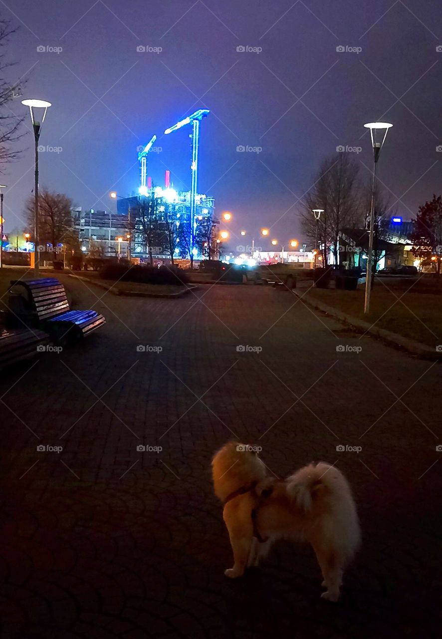 beautiful night light windows city