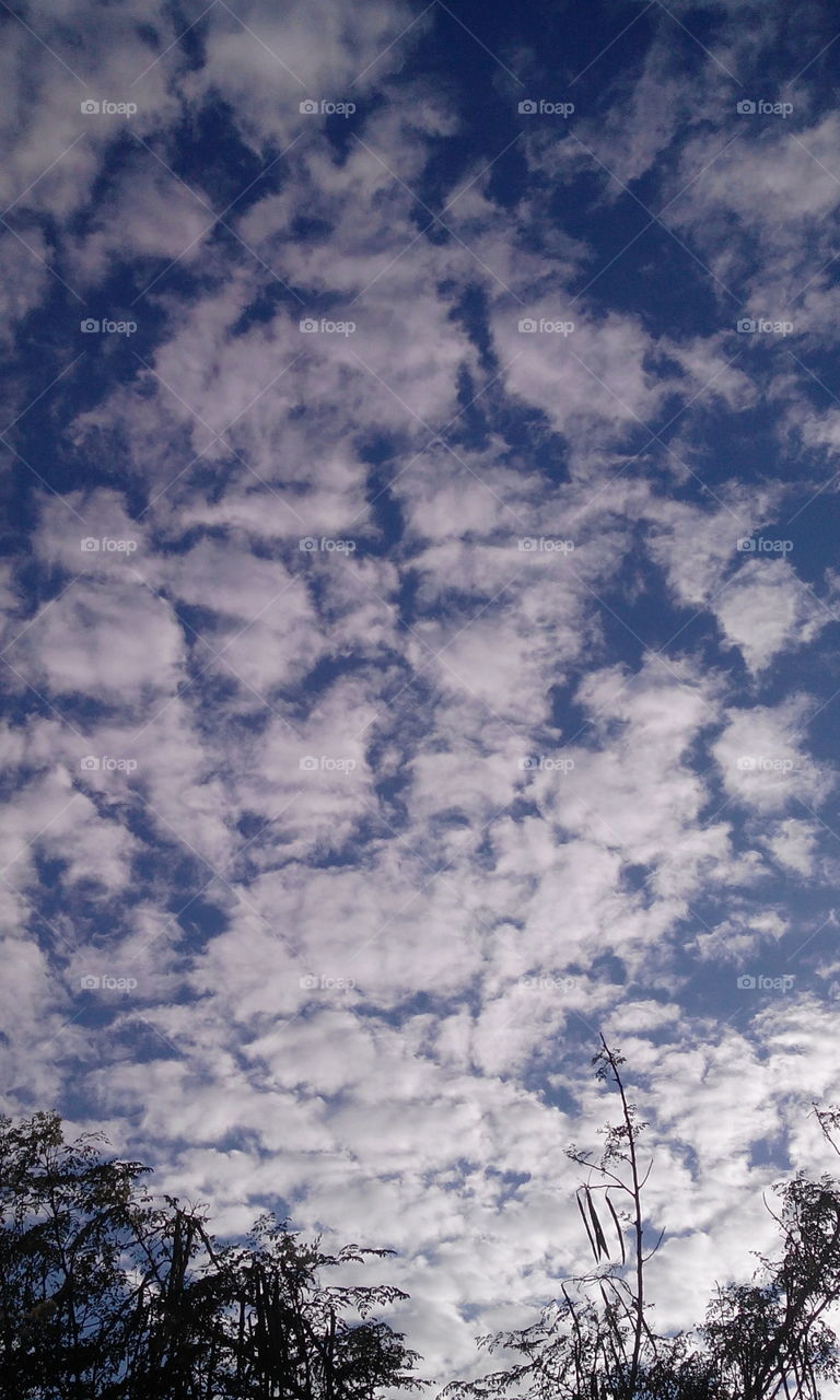 group of clouds