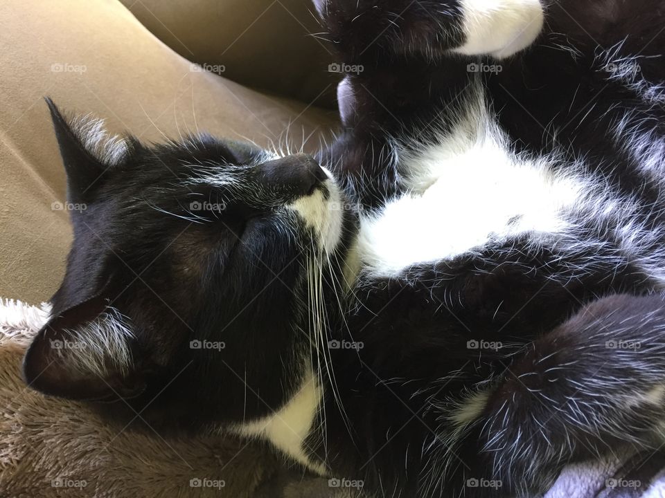 Apparently my calendar has been cleared 