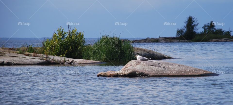 Biggest lake in Sweden 