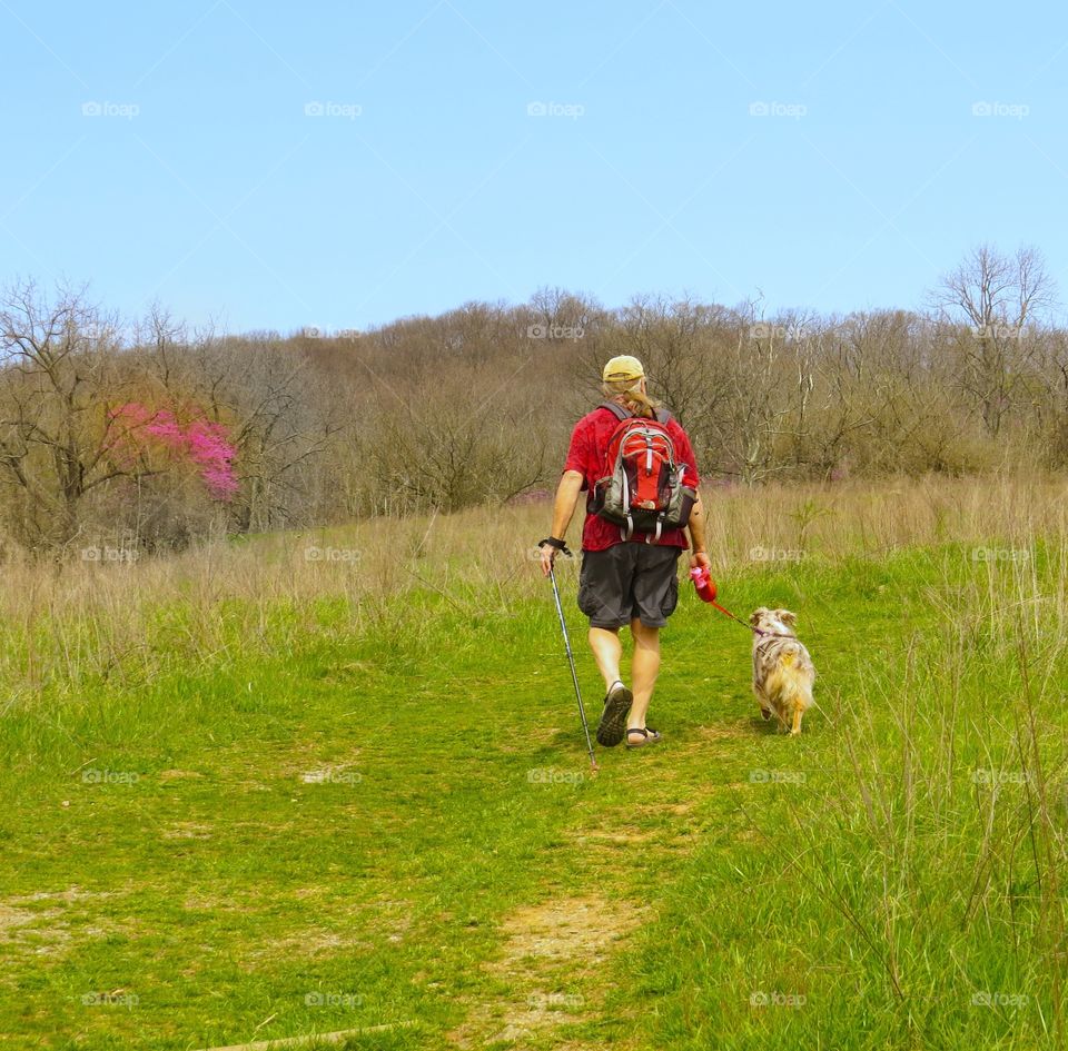 Hiking in the spring with a Miniature Australian Shepherd across a green field with a Redbud tree in the distance.