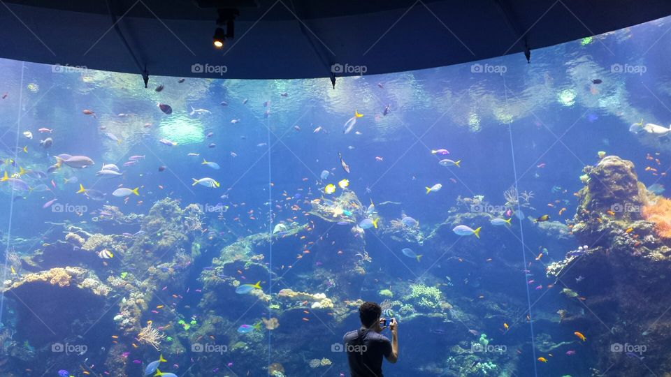 man at aquarium