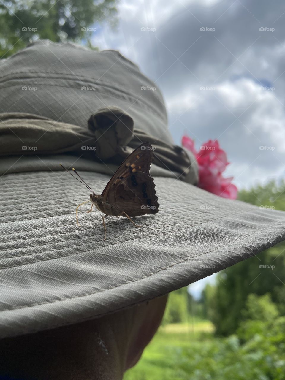 Butterfly on a hat