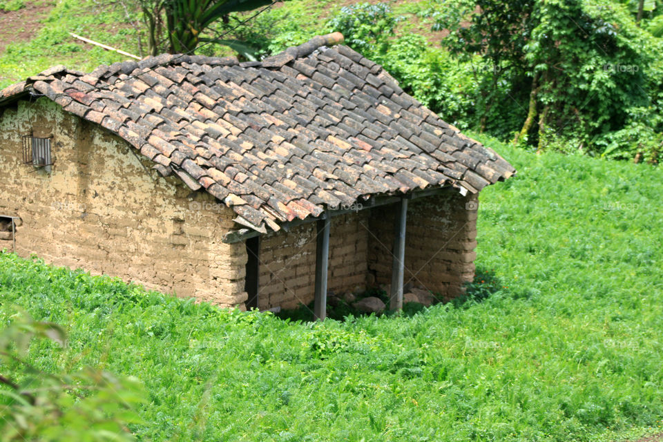 Hut in the Country